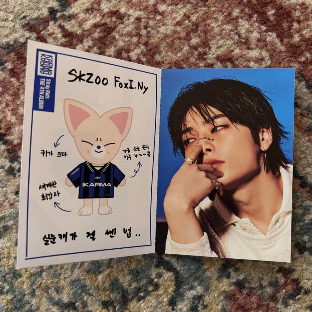 Stray kids I.N skzoo profile card